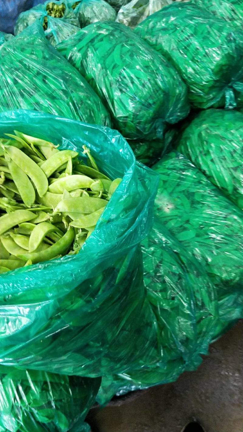 荷兰豆
