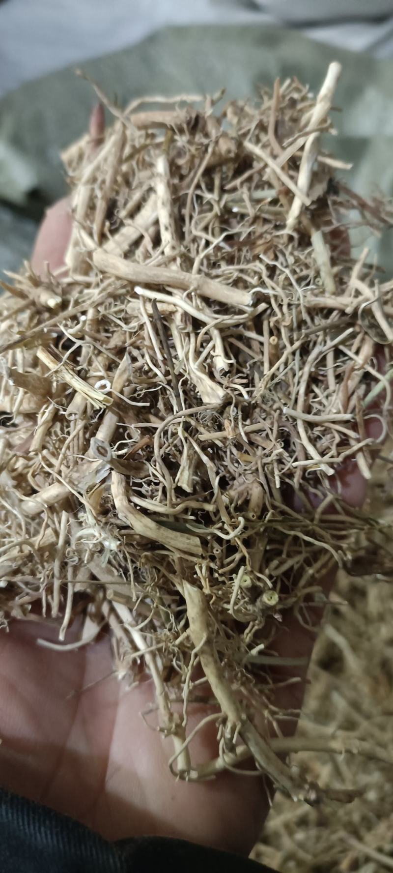 白前，水洗无硫，道地药材，货源充足，支持在线下单