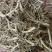 白前，水洗无硫，道地药材，货源充足，支持在线下单