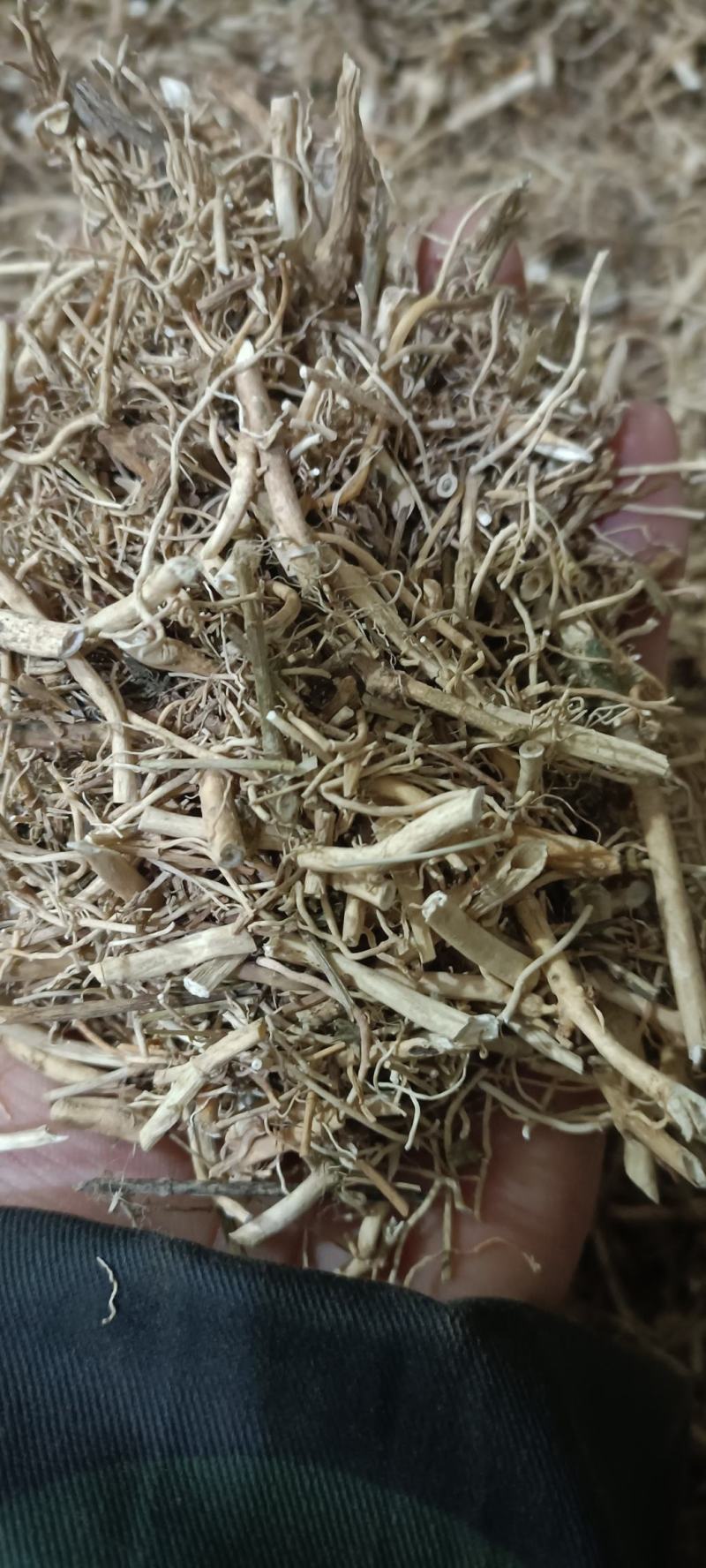 白前，水洗无硫，道地药材，货源充足，支持在线下单