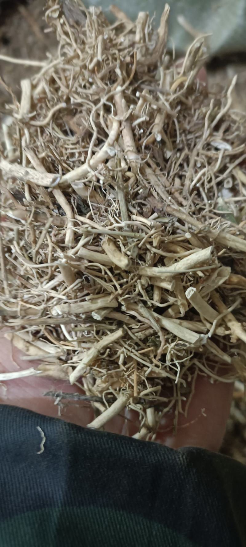 白前，水洗无硫，道地药材，货源充足，支持在线下单