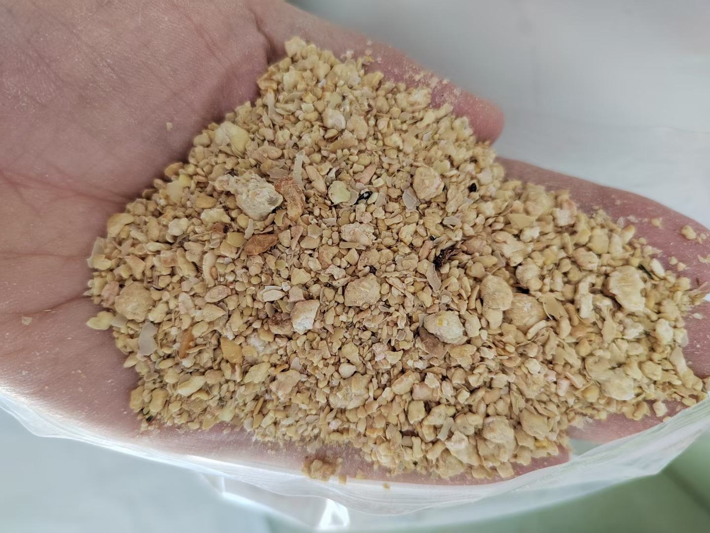 高清微距摄影:成熟干燥大豆籽粒实物图,左侧为完整豆粒,右侧为纵向剖开显示子叶组织;右上角叠加HPLC氨基酸分析色谱图,箭头明确标注'Met'(蛋氨酸)峰面积显著低于'Lys'(赖氨酸)峰,直观呈现蛋氨酸含量劣势 大豆籽粒特写:黄褐色椭圆形豆粒表面有明显种脐,剖面可见淡黄色子叶结构,背景为实验室氨基酸色谱分析图谱