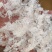 小龙须拉丝雪燕