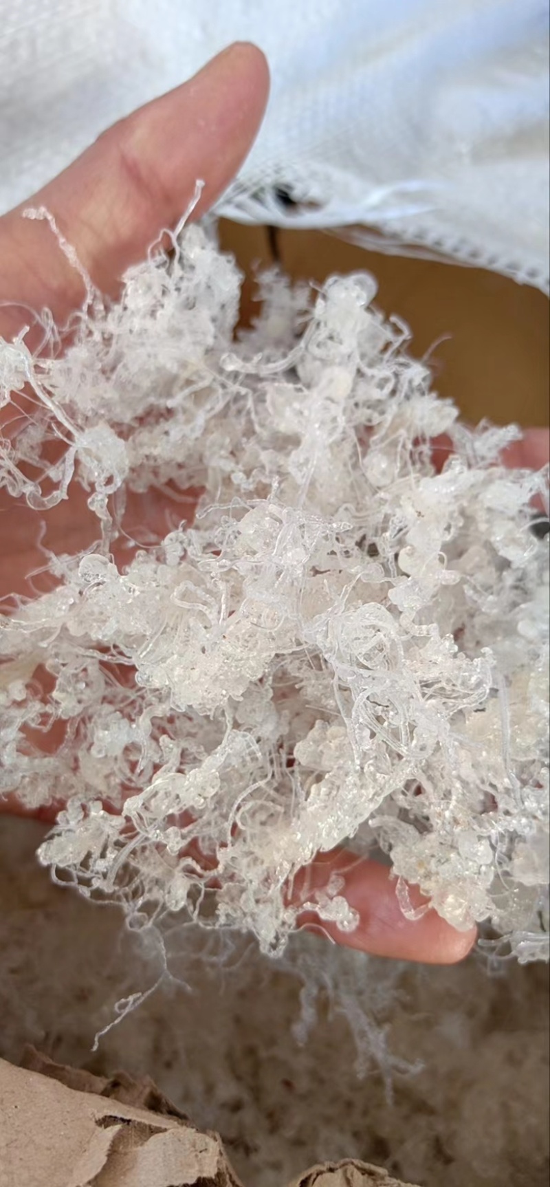小龙须拉丝雪燕
