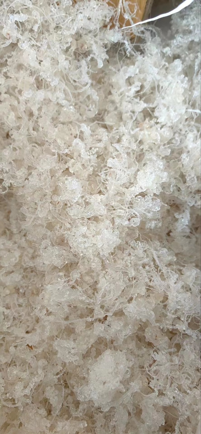 小龙须拉丝雪燕