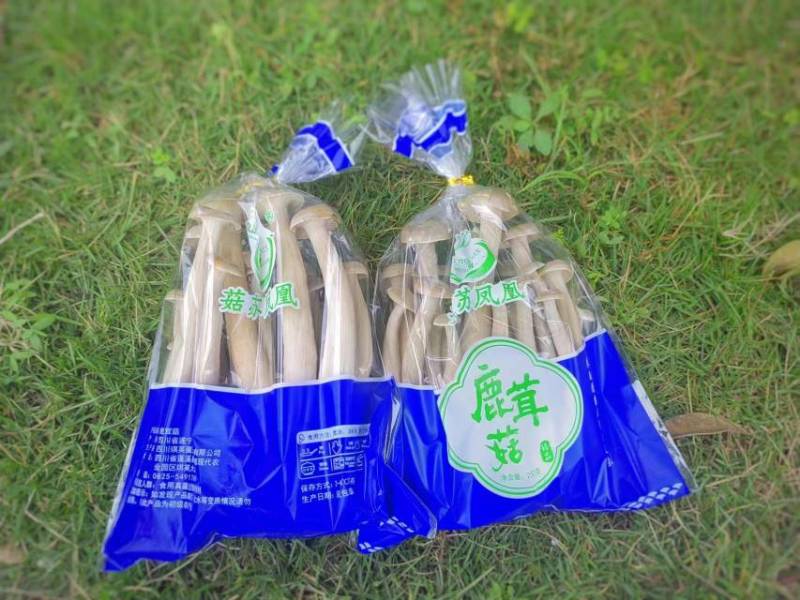 新鲜鹿茸菇，产地直发，质量保障。量大从优，对接全国，欢迎订购