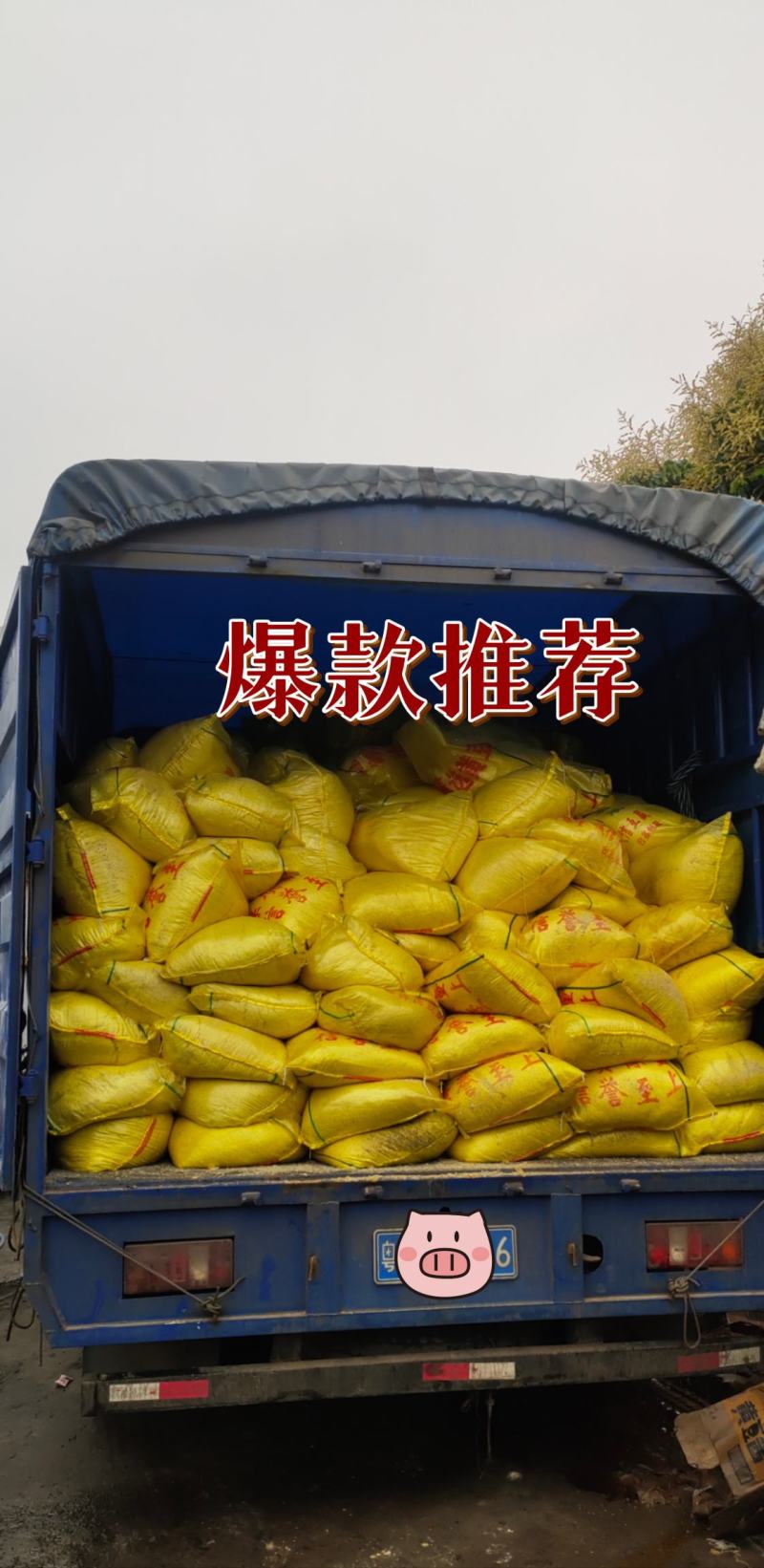 脱水豆渣散装380袋装420，纯发酵豆渣620