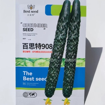 瓜码密把短深绿油亮黄瓜种子早熟不歇秧密刺黄瓜种子生长期长