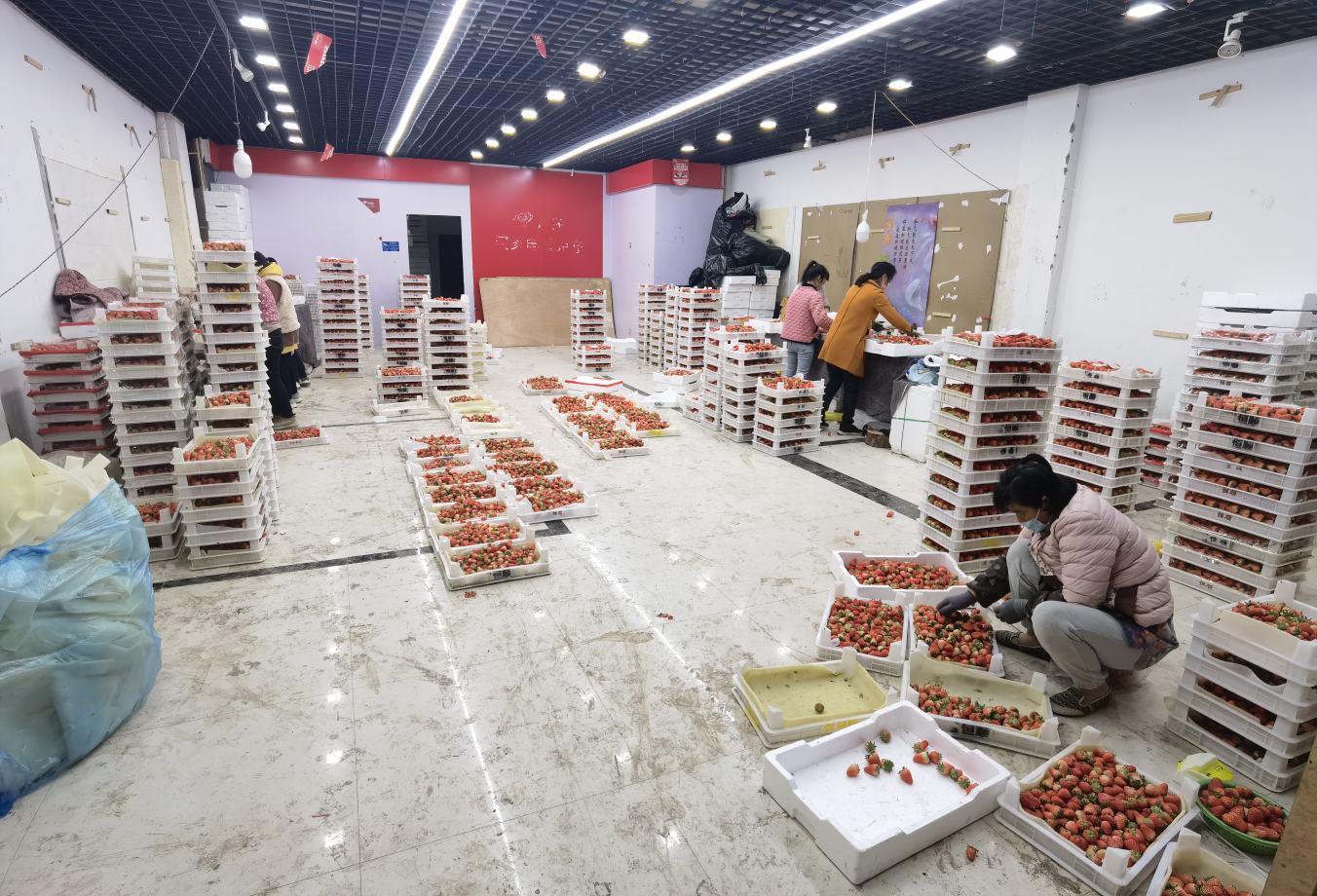 玉菇冰激凌甜瓜的加工与销售场景