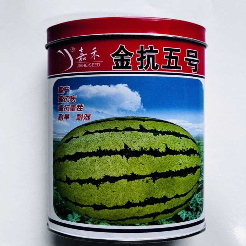 嘉禾美都西瓜种子杂交一代红瓤品种