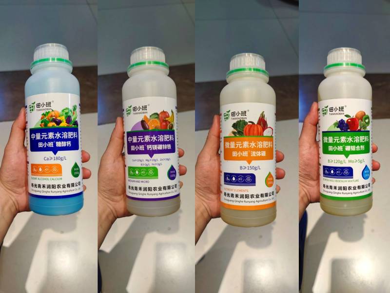 钙镁硼铁锌果树蔬菜专用快速生根中微量元素黄化叶裂果冲施滴