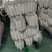 🅰湖北白萝卜产地直发物美价廉量大从优质量三包