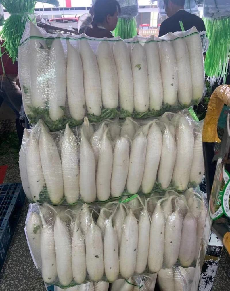 🅰湖北白萝卜产地直发物美价廉量大从优质量三包