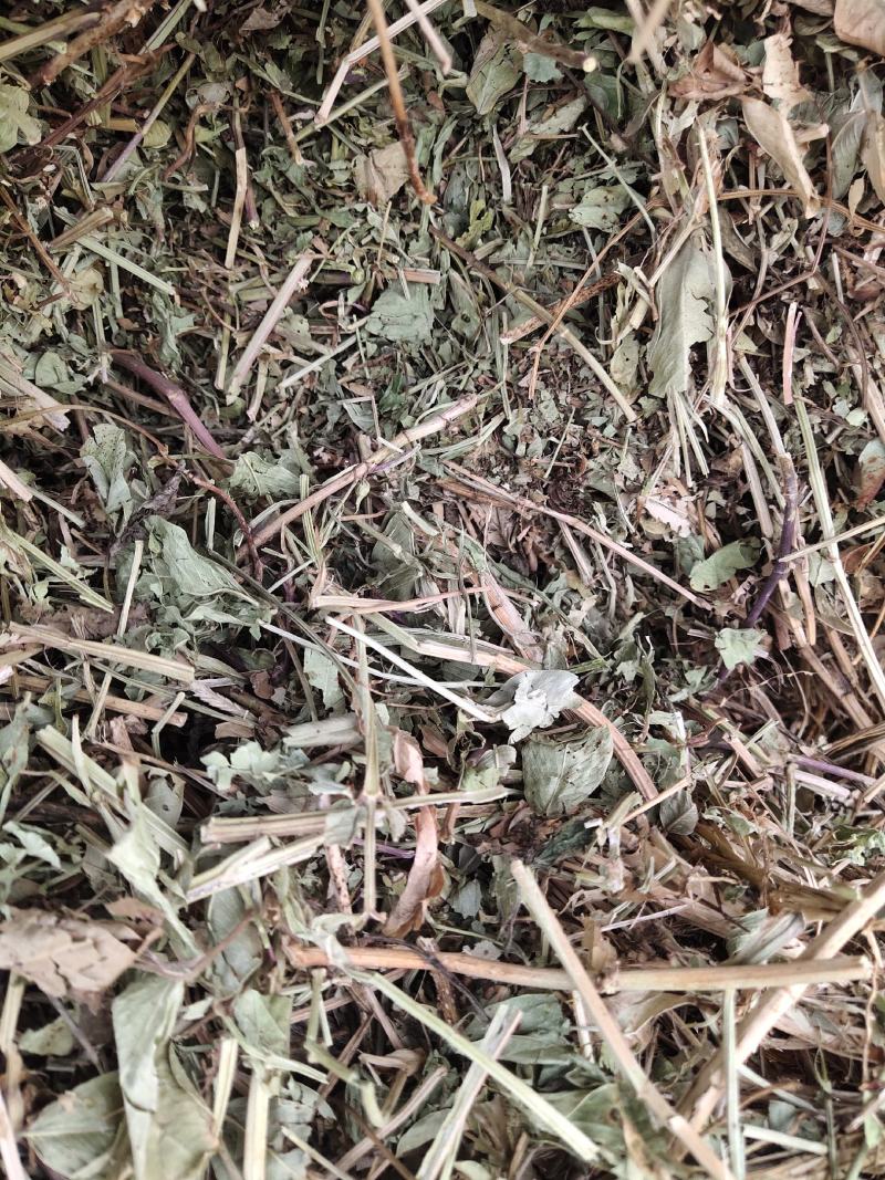 花生秧牛羊草