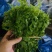 云南野菜(鲜菜)水撅菜(本地龙爪菜)