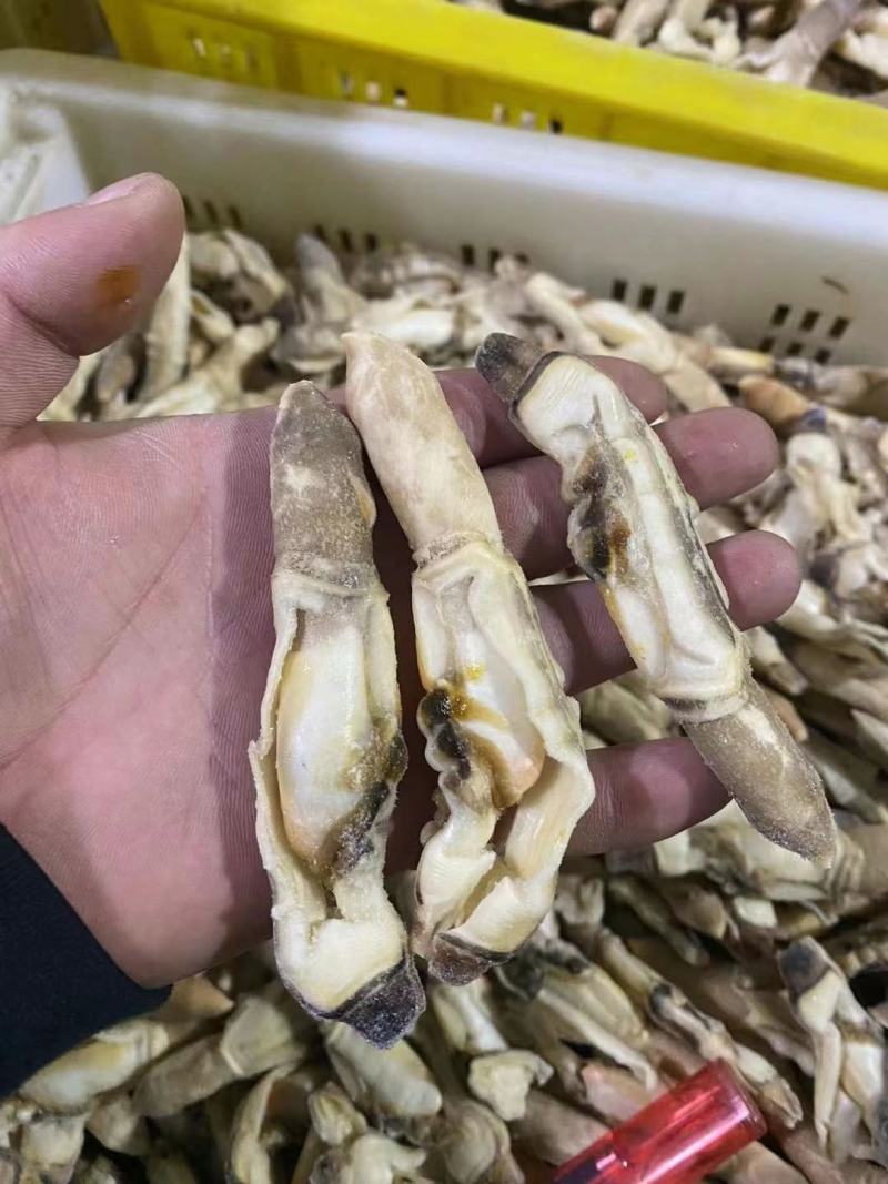 蛏子肉，干冰的蛏子肉，常年有货，价格便宜，开嘴无沙，品质