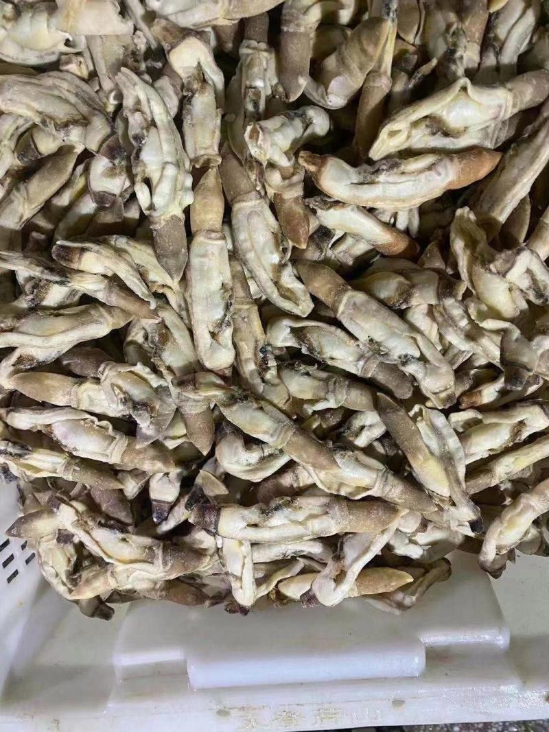 蛏子肉，干冰的蛏子肉，常年有货，价格便宜，开嘴无沙，品质