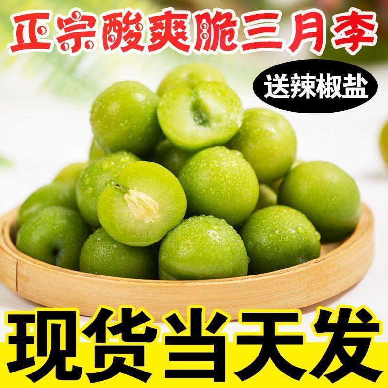 钱排三月李三华李子新鲜当季青脆酸李子孕妇水果新鲜现货批发
