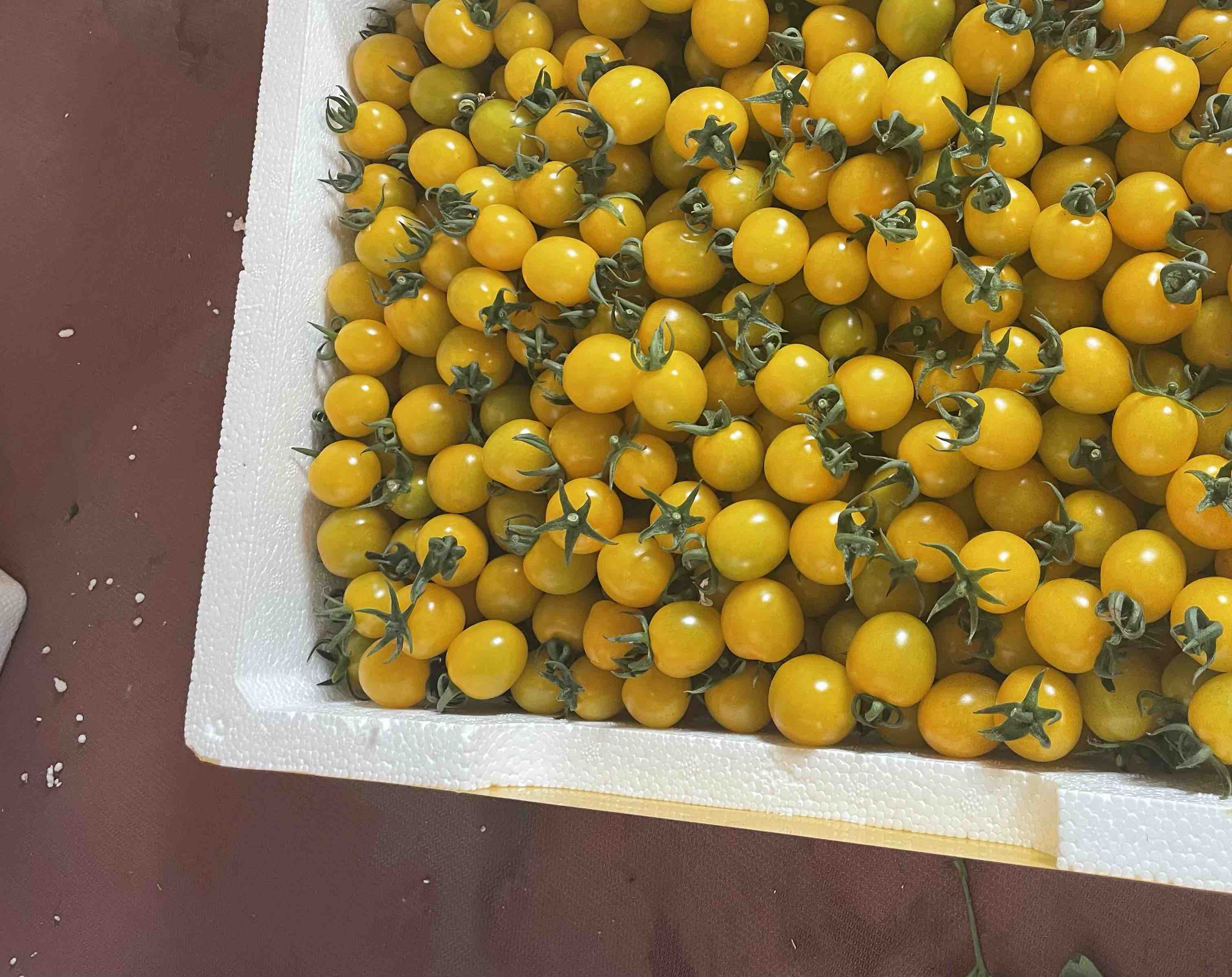 樱桃与黄瓜制成的水果沙拉,配有酸奶酱和薄荷装饰 樱桃黄瓜水果沙拉