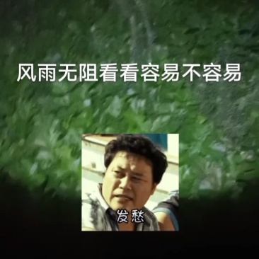 大量现货欢迎下单