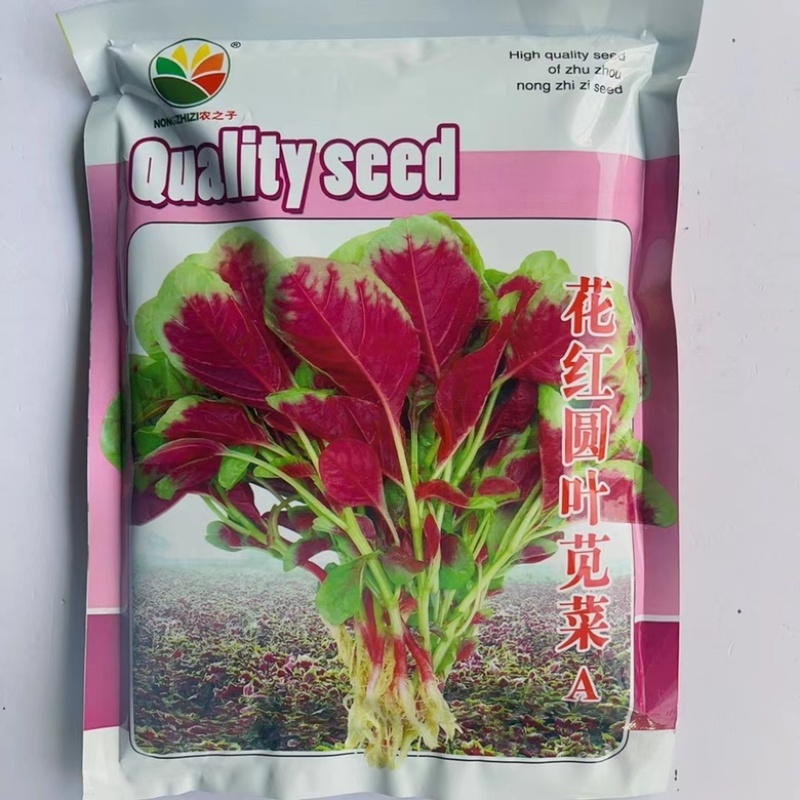 农之子花红圆叶苋菜500克原装正品种子种子