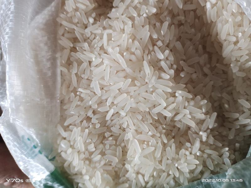 自己种的丰两优出米103