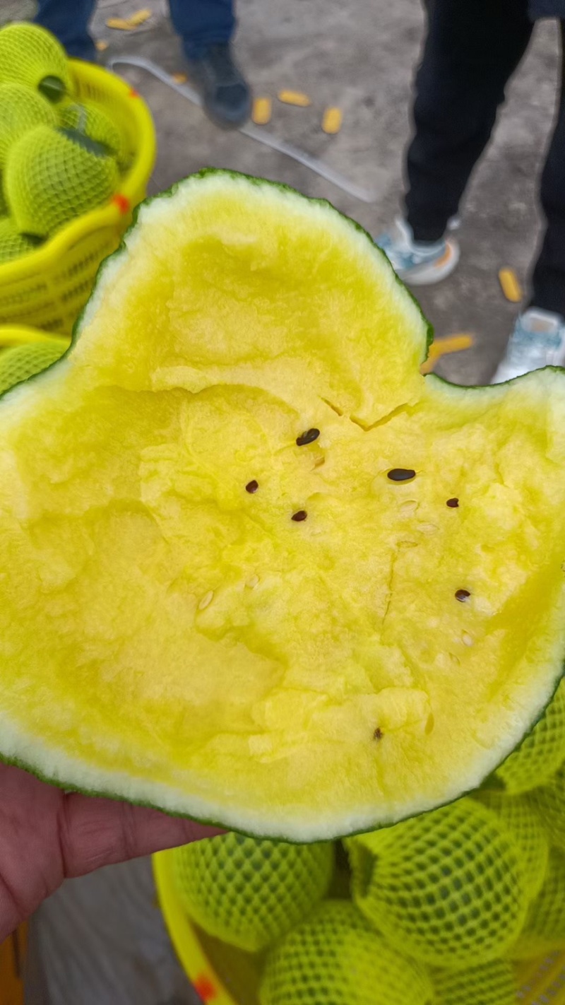 特小凤