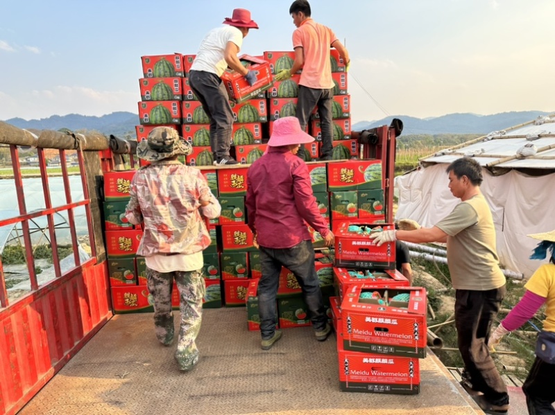 夏邑西瓜，糖度14，原产地供货对接市场，商超，