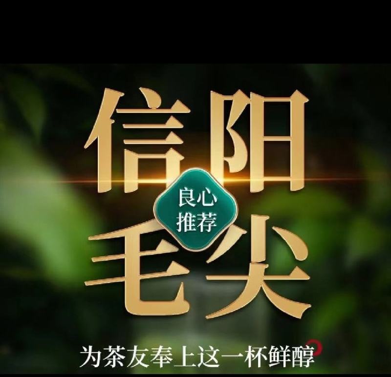 正宗信阳毛尖纯手工炒制自家发货