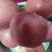 山东红富士