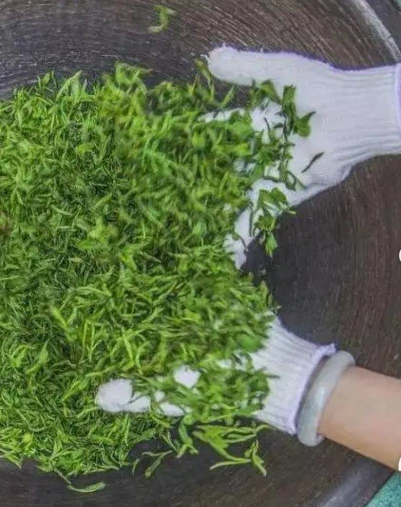 正宗信阳毛尖纯手工炒制自家发货