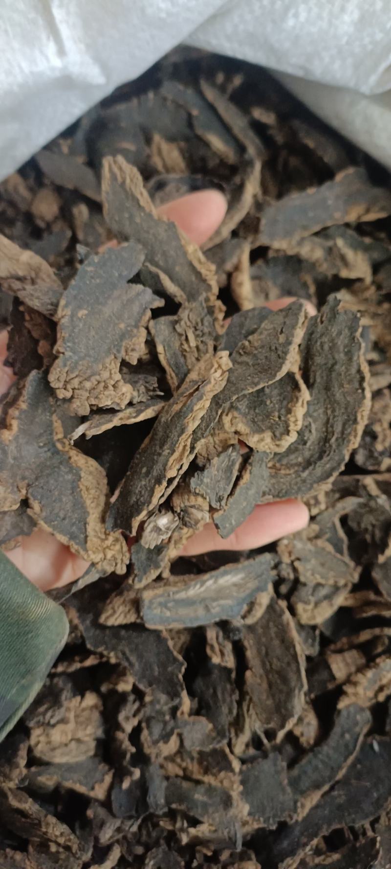 玄参，道地药材，中药材批发，支持在线下单