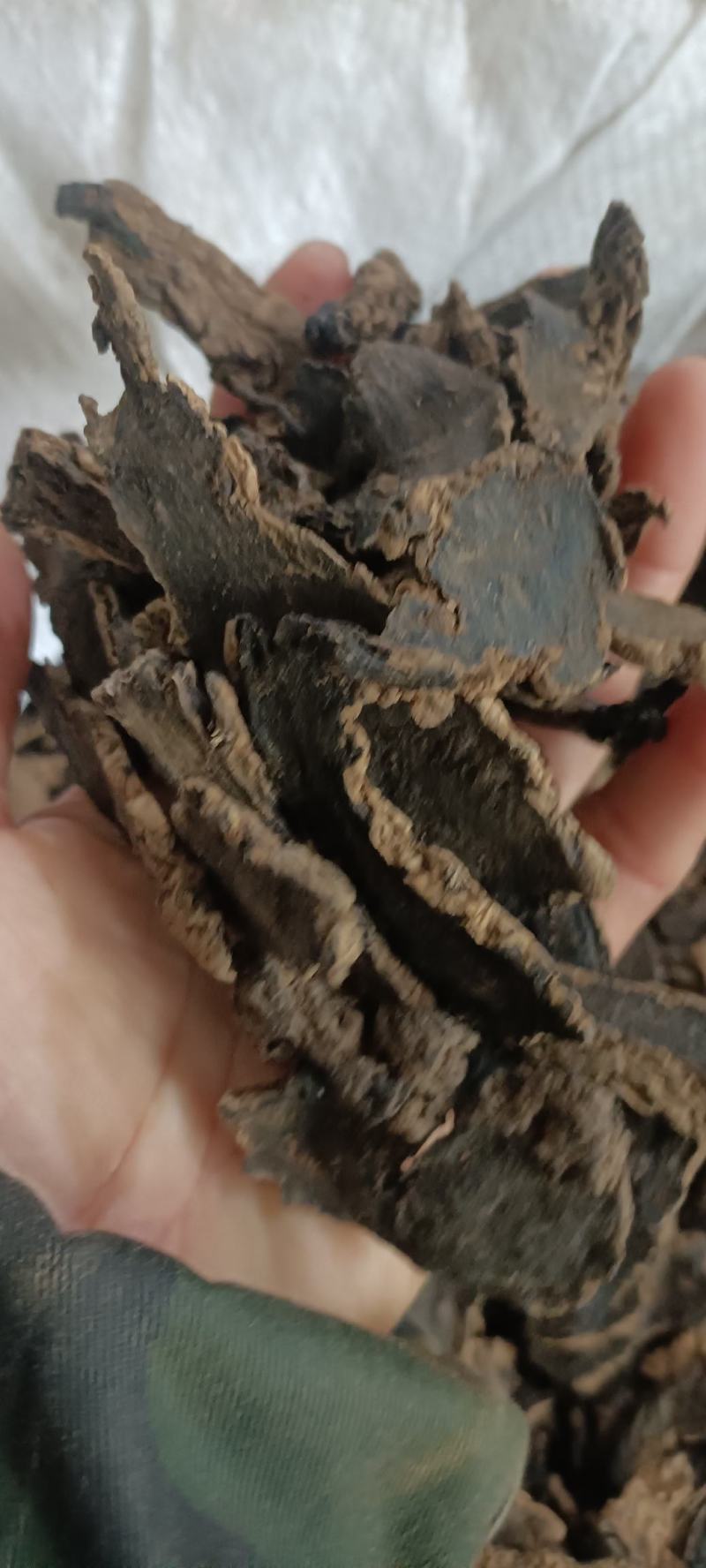 玄参，道地药材，中药材批发，支持在线下单