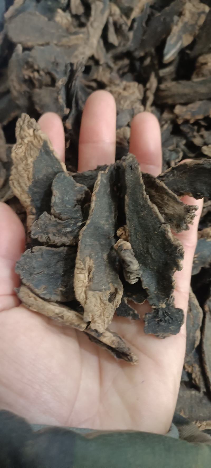 玄参，道地药材，中药材批发，支持在线下单