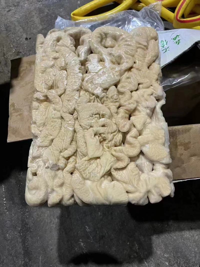 精品预煮大肠规格10kg