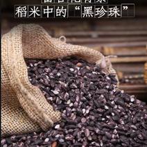 中国黑糯米之乡贵州惠水黑糯米