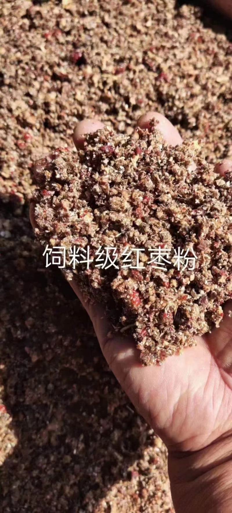 红枣粉低价出饲料**（红枣粉）含糖量高（30%）