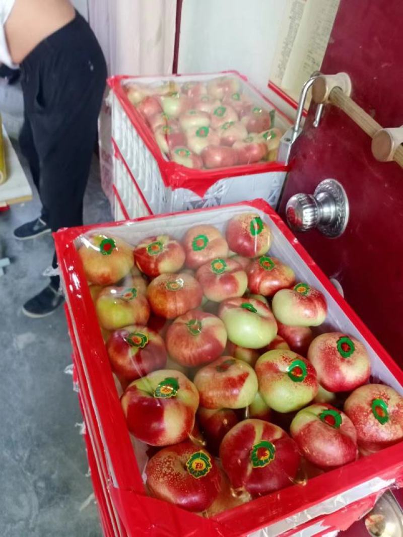 超甜油蟠桃，36-3油蟠桃，纽扣油蟠桃上市价格，诚信代发
