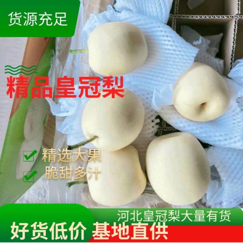 【实力】精品皇冠梨河北雪梨水晶梨产地供应欢迎咨询