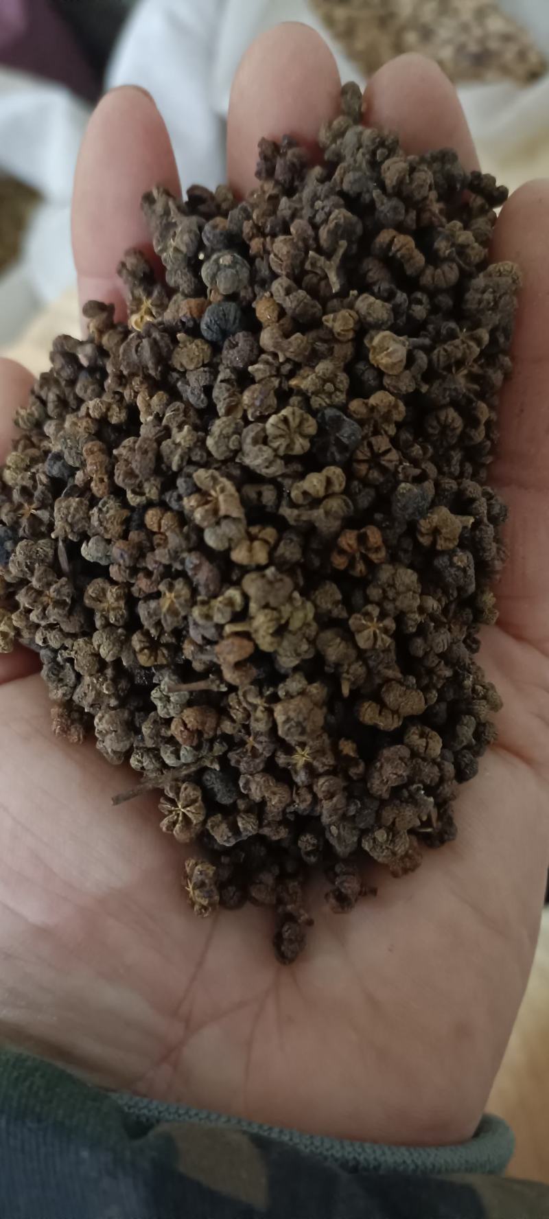 吴茱萸，产地江西，货干无杂质，货源充足，欢迎选购