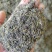 杜仲雄花杜仲雄花茶杜仲雄花干货野生正品产地大量供应