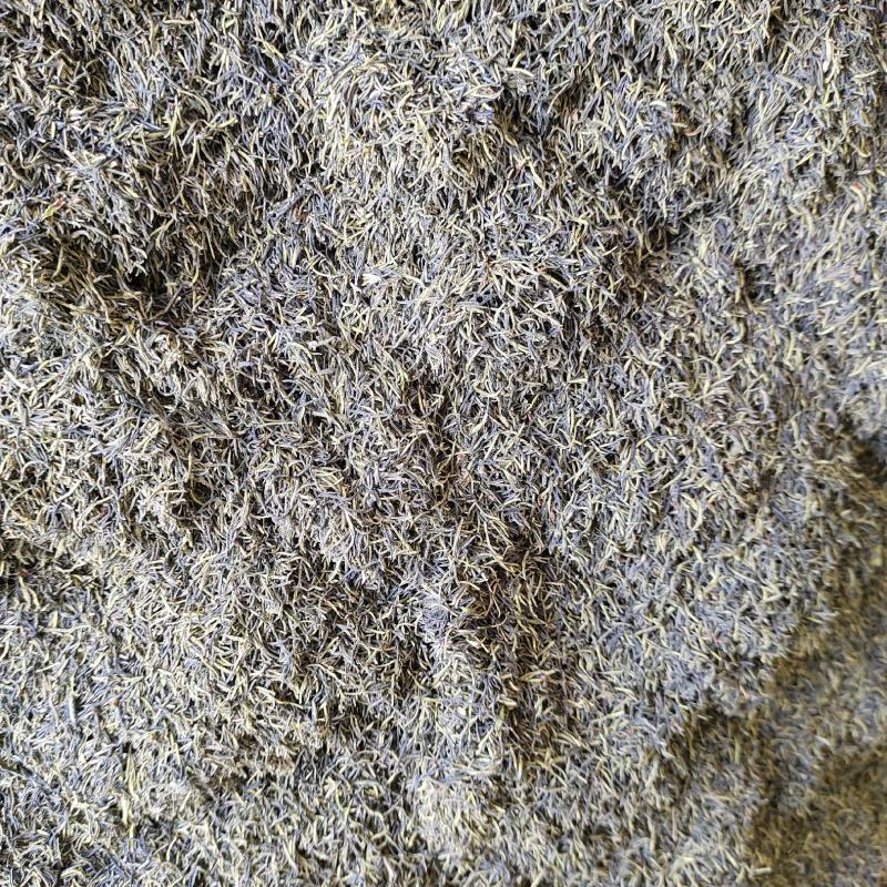 杜仲雄花杜仲雄花茶杜仲雄花干货野生正品产地大量供应