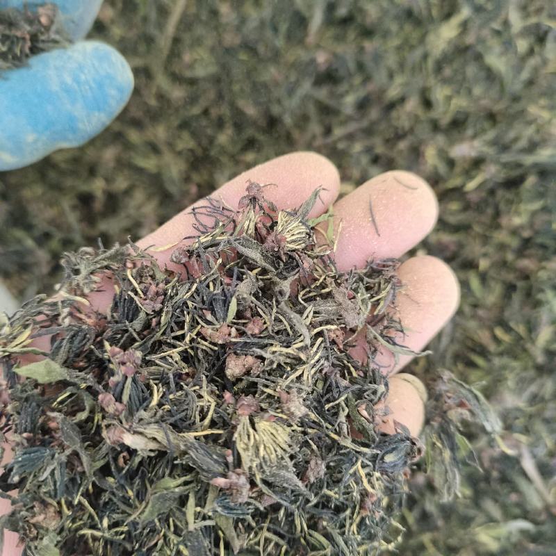 杜仲雄花杜仲雄花茶杜仲雄花干货野生正品产地大量供应