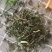 葎草拉拉秧自然生长农副产品