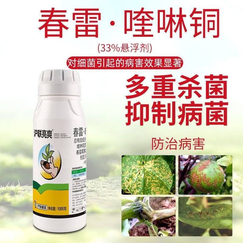 上海沪联春雷喹啉铜溃疡病流胶穿孔细菌性角斑病杀菌剂农药