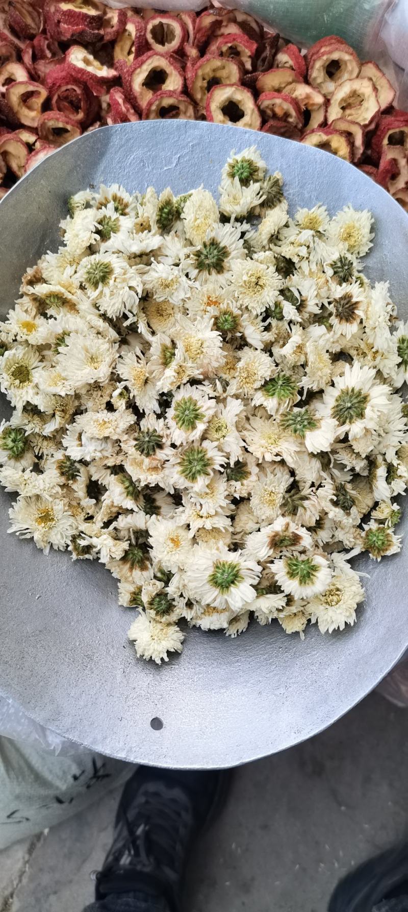 批发供应新货黄山贡菊七月菊白菊花散装