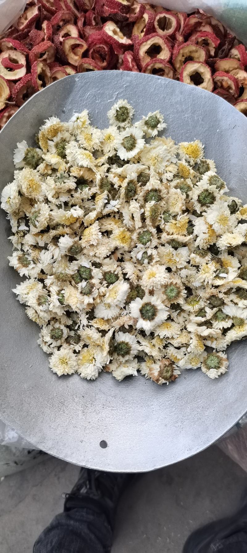 批发供应新货黄山贡菊七月菊白菊花散装
