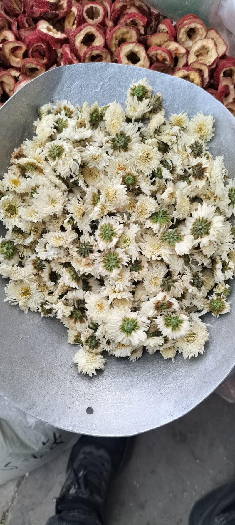 批发供应新货黄山贡菊七月菊白菊花散装