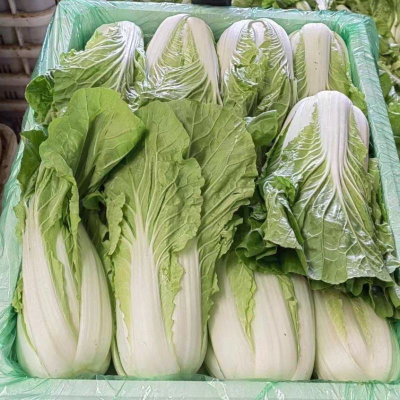 精品蔬菜白菜