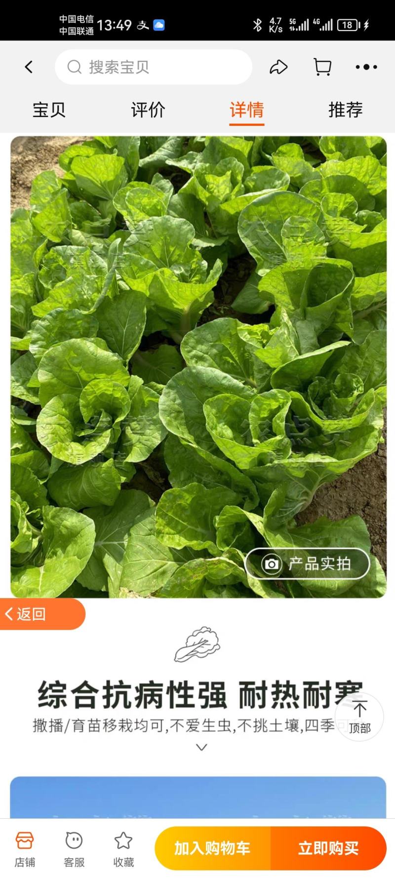 精品蔬菜白菜
